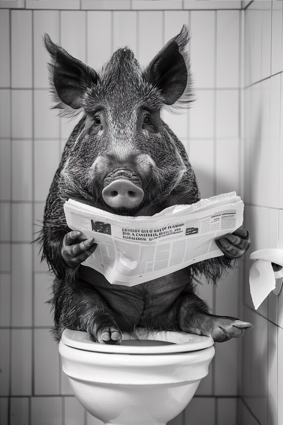 Funny Wild Boar Reading Newspaper on Toilet Humorous Bathroom Poster