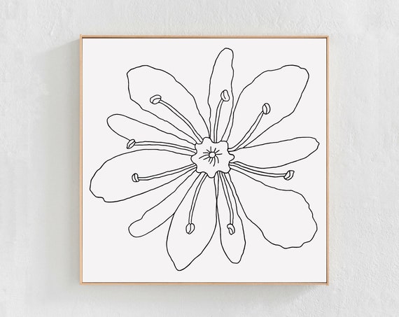 Botanical Floral Line Drawing, Minimalist Art Print