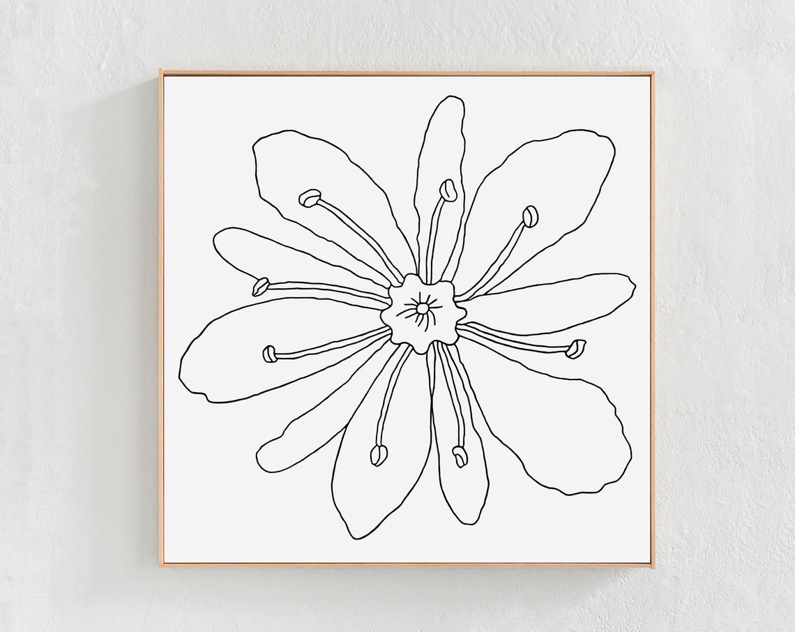 Botanical Floral Line Drawing, Minimalist Art Print
