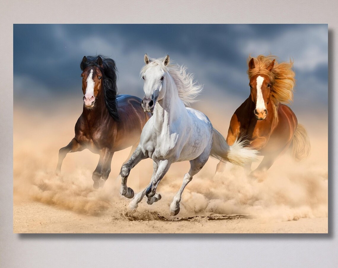 Three Wild Horses Galloping Dust Storm Equine Photography Poster