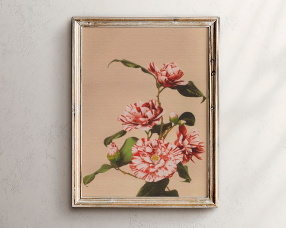 Rustic Botanical Print Garden Poster Vintage Prints Herb Wall Art