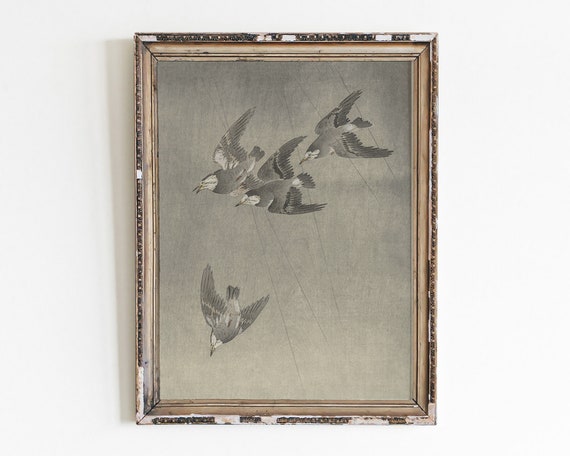 Vintage Minimalist Bird Printsantique Sketchbird Charcoal Drawinggift For Loverdigital Downloaddownloadable Illustration