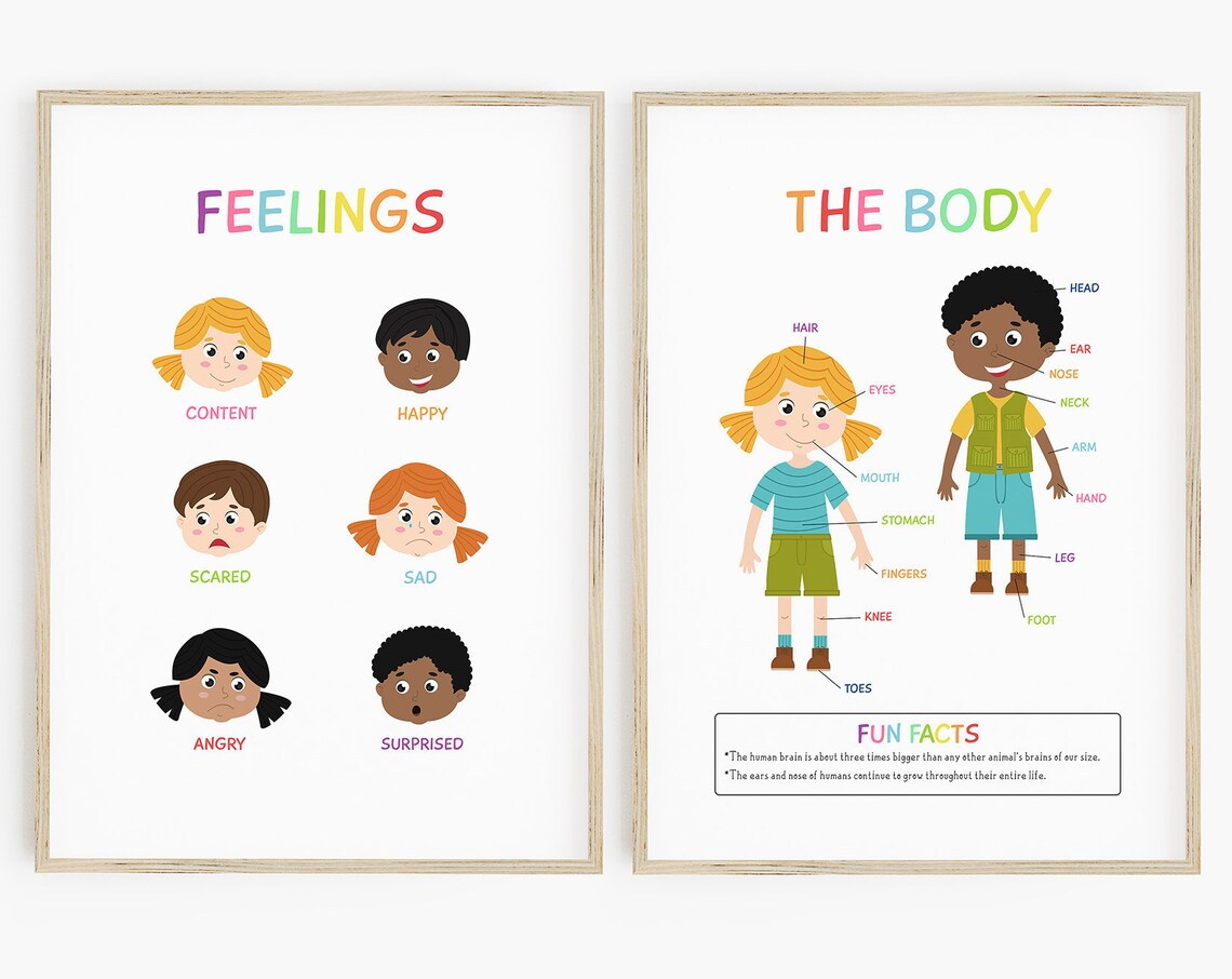 Feelings and the Body Educational Poster, Rainbow