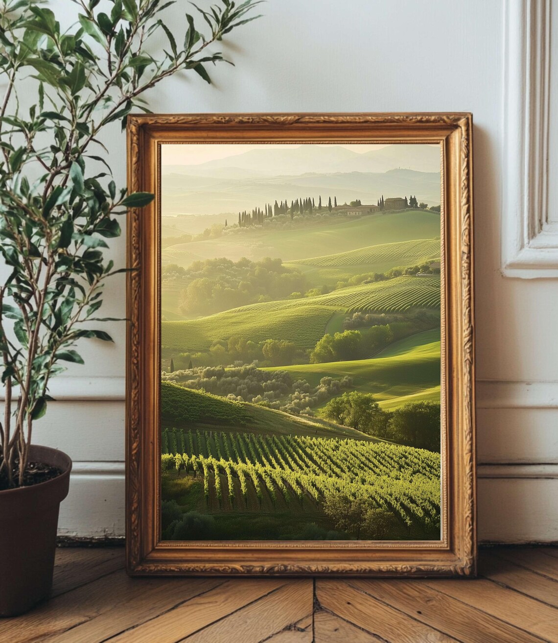 Tuscany Misty Morning Green Vineyard Rolling Hills Landscape Poster
