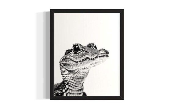 Cute Baby Crocodile Closeup Black and White Reptile Photo Poster