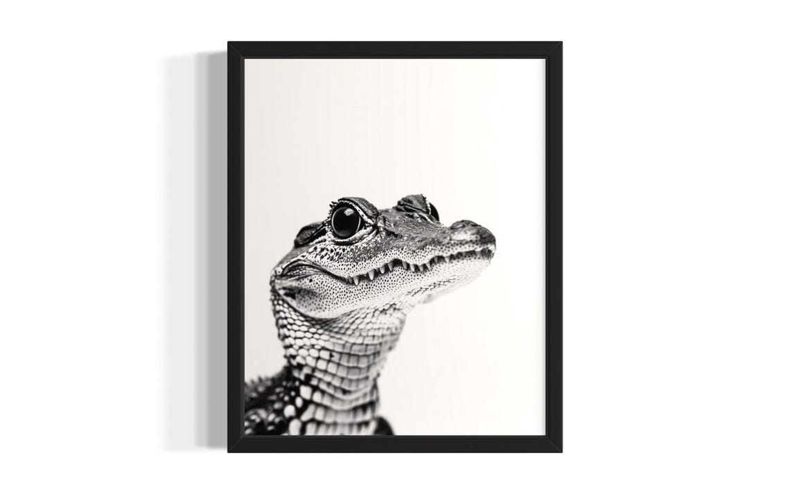 Cute Baby Crocodile Closeup Black and White Reptile Photo Poster