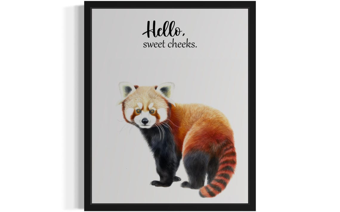 Hello Sweet Cheeks Red Panda Glance Back Bathroom Humor Poster