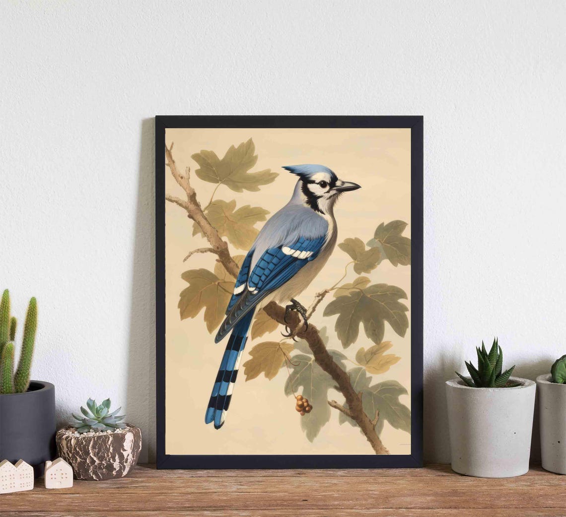 Blue Jay Perched on a Maple Branch with Berries Vintage Bird Poster - Image 4