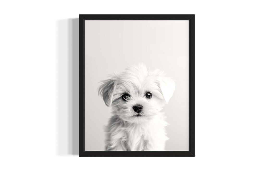 Fluffy White Maltese Puppy Portrait Minimalist Nursery Poster