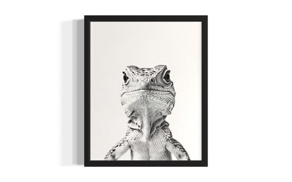 Iguana Black And White Close Up Portrait Reptile Wildlife Poster
