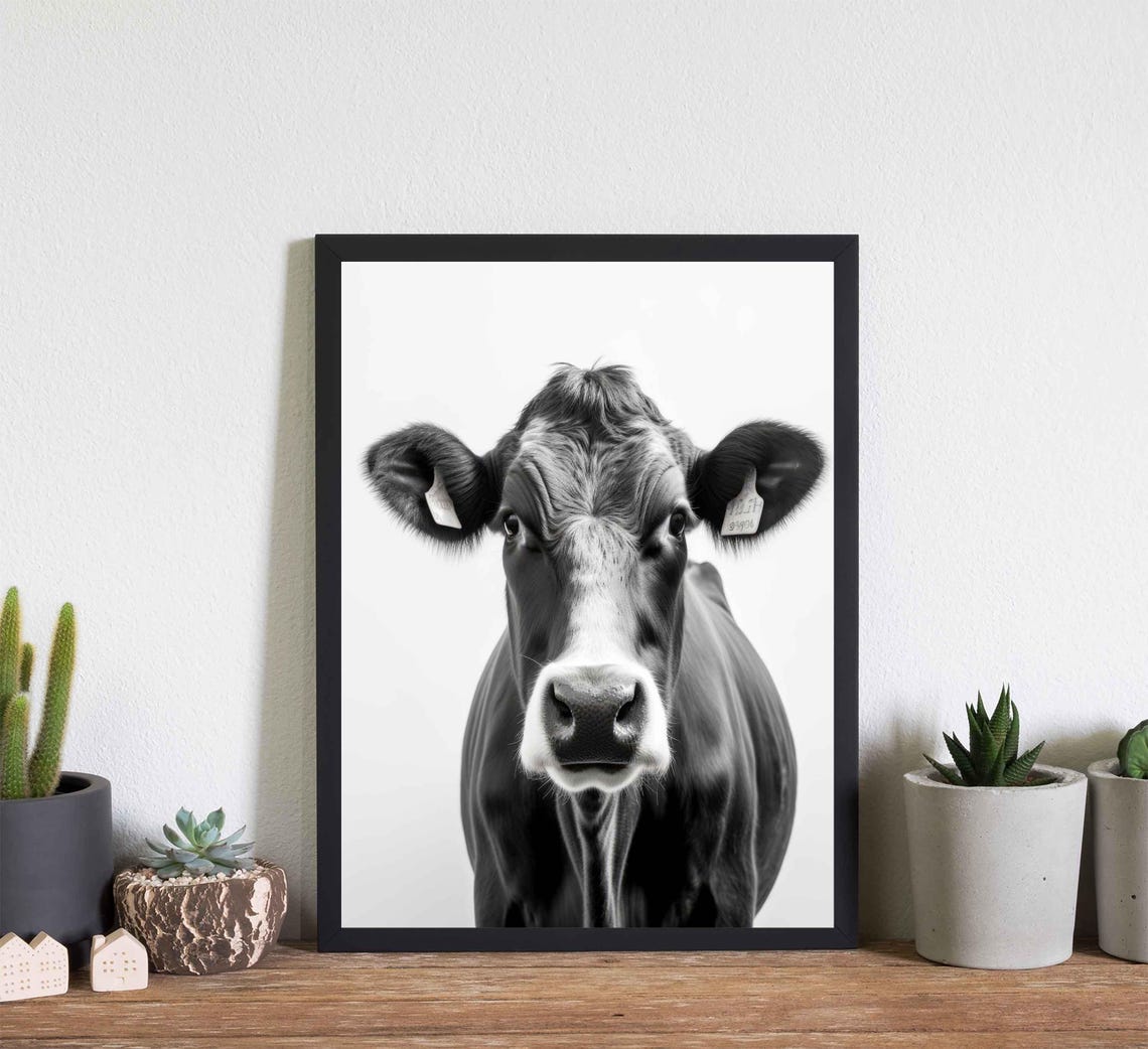Curious Cow Face Close Up Front View Black and White Art Poster - Image 3