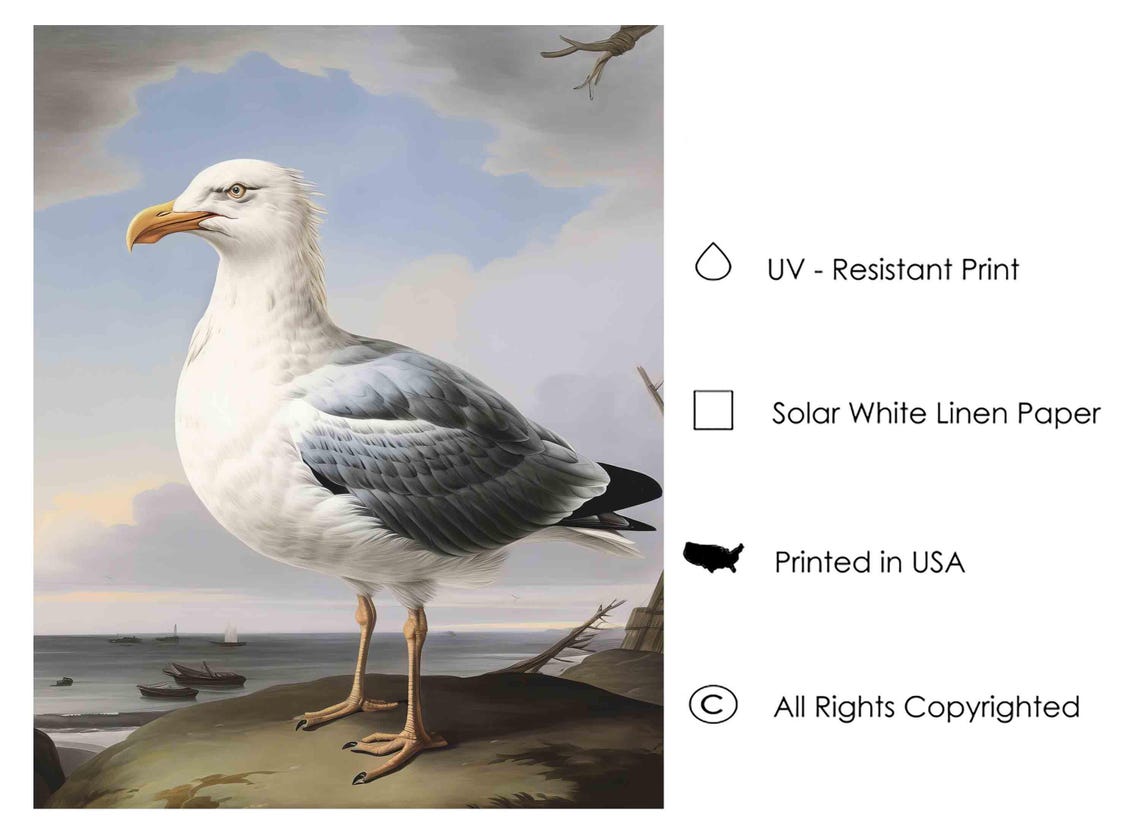 Seagull Standing On Coastal Rock With Boats Vintage Bird Poster - Image 4