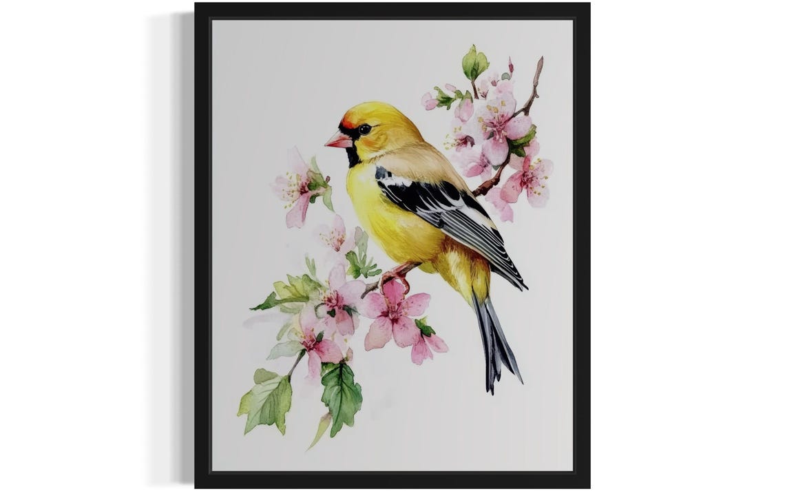 Delicate American Goldfinch Watercolor Pink Blossom Bird Art Poster