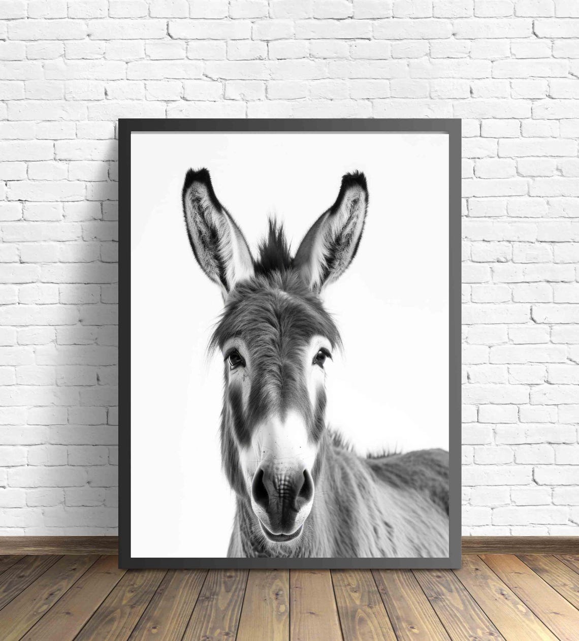 Donkey Black and White Long Eared Farm Animal Front Portrait Poster - Image 4