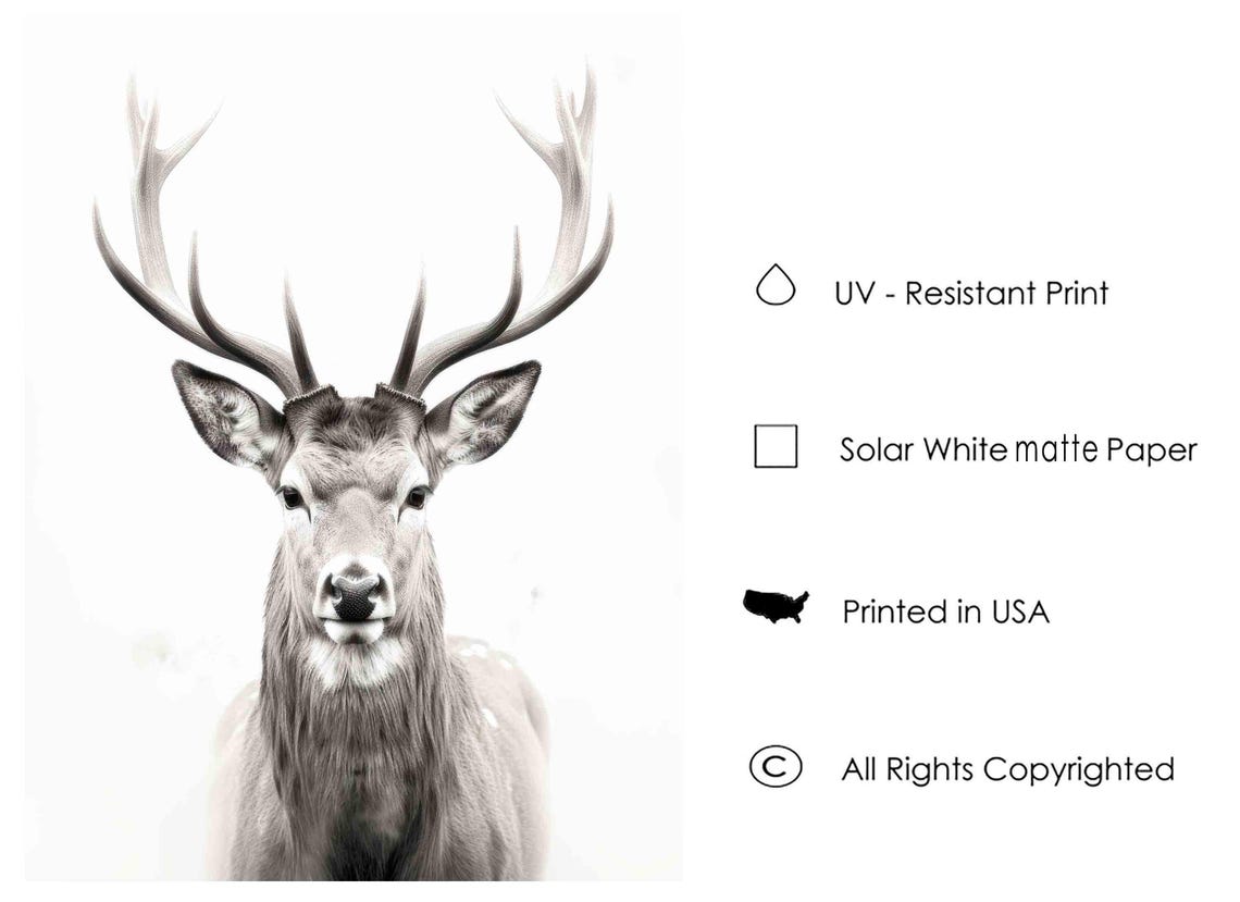 Stag Black and White Antlered Deer Front Portrait Minimalist Poster - Image 3