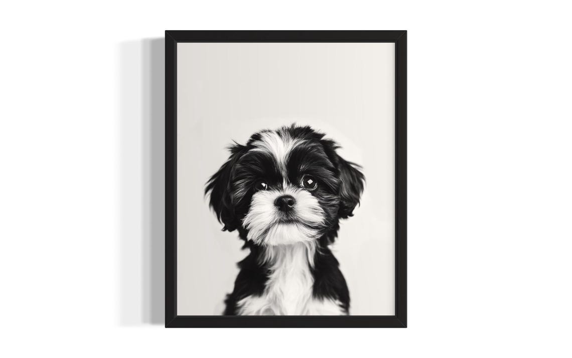 Black and White Shih Tzu Puppy Portrait Minimalist Cute Dog Poster