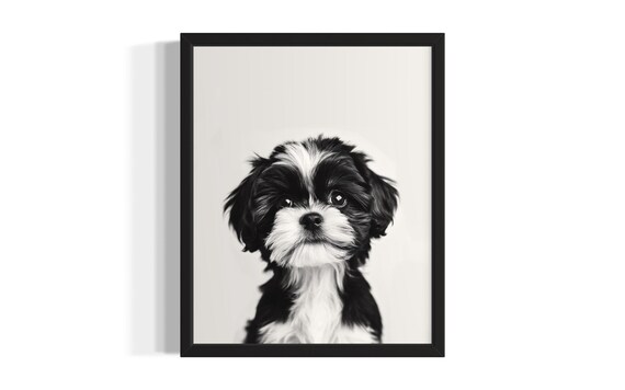 Black and White Shih Tzu Puppy Portrait Minimalist Cute Dog Poster