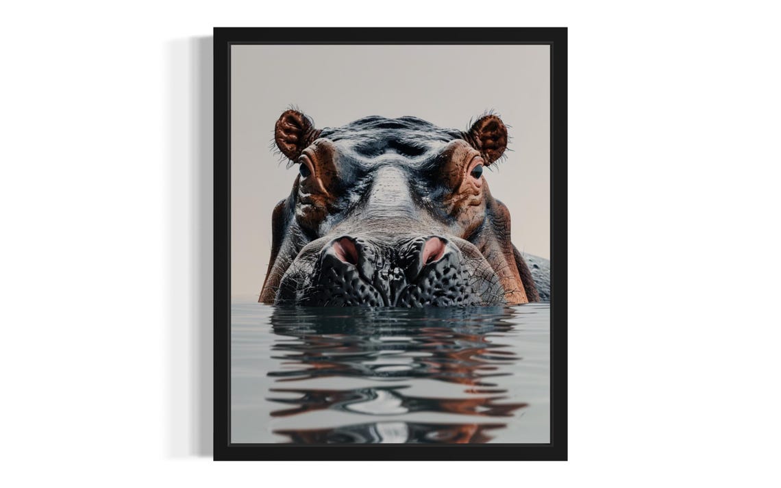 Hippo Emerging from Water Front View Minimalist Photo Poster