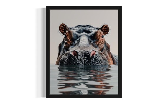 Hippo Emerging from Water Front View Minimalist Photo Poster