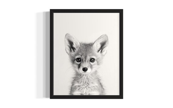 Baby Jackal Black And White Close Up Portrait Cute Wildlife Poster