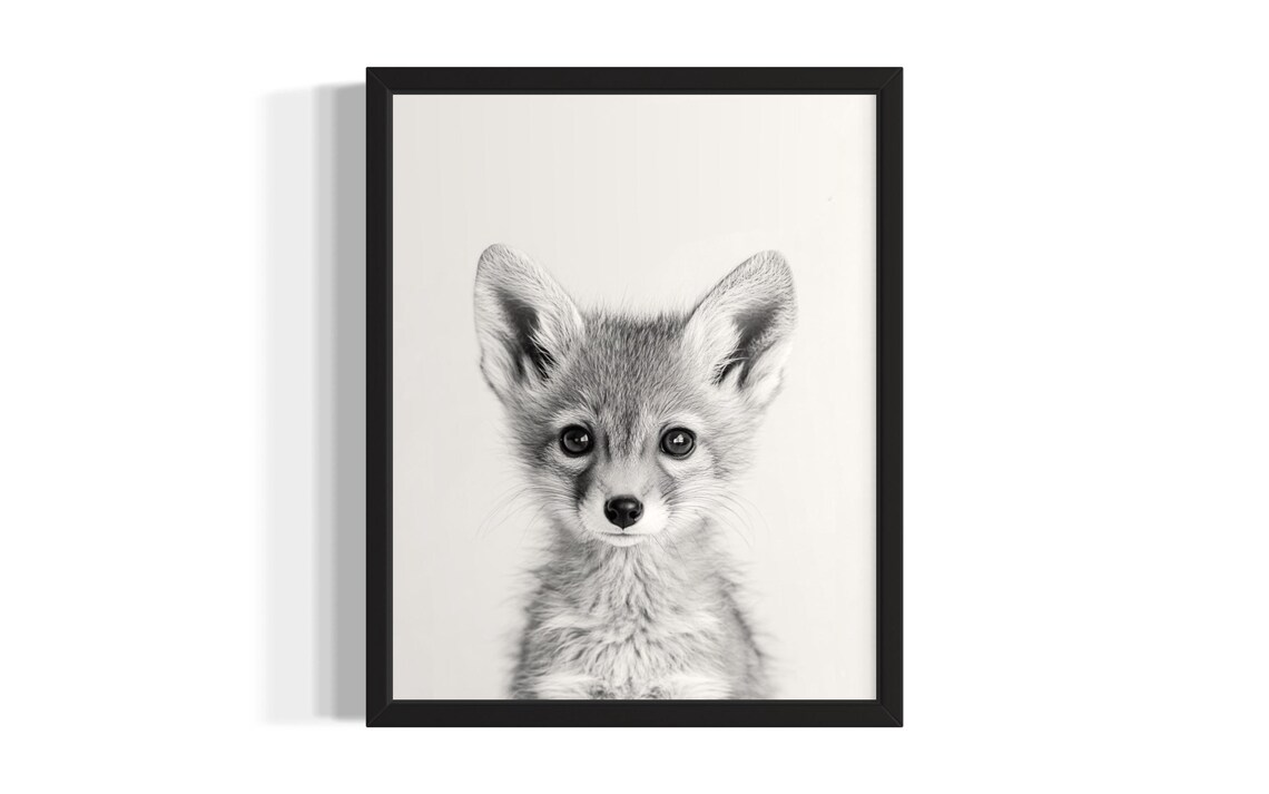 Baby Jackal Black And White Close Up Portrait Cute Wildlife Poster