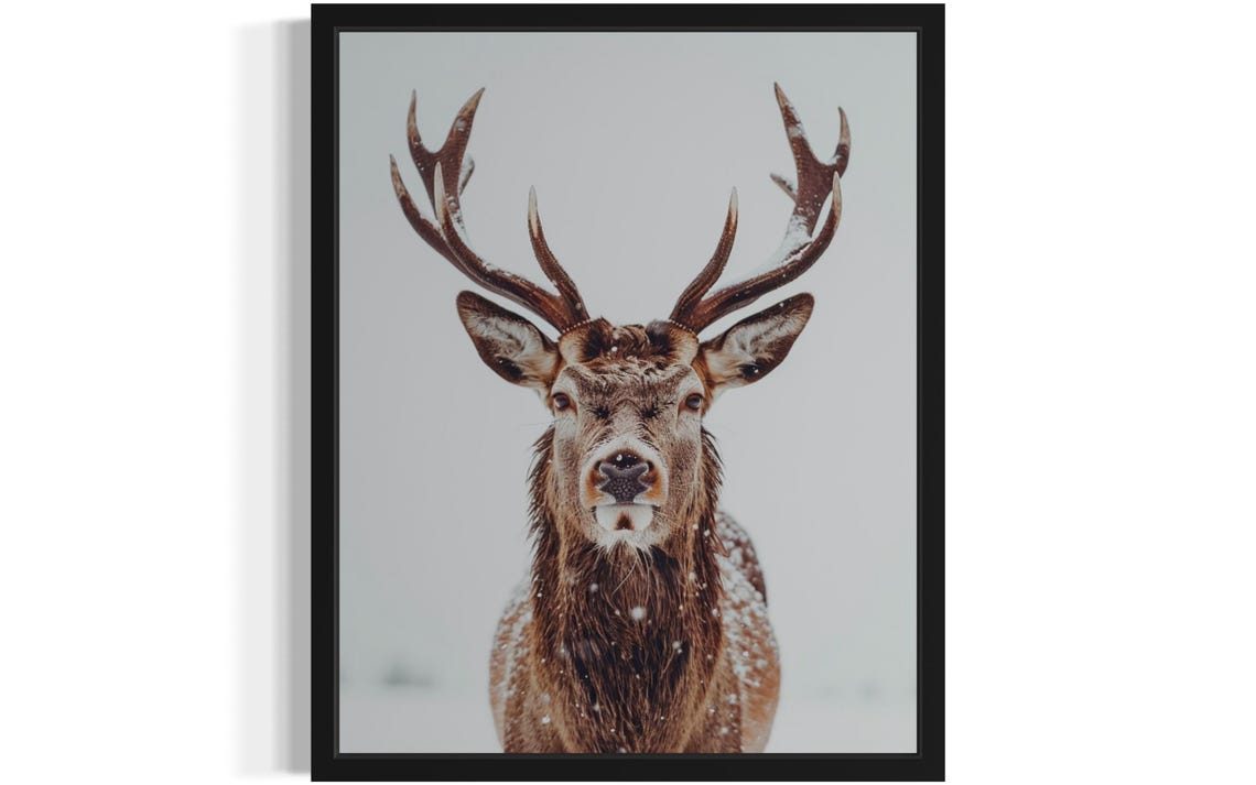 Red Deer Stag in Falling Snow Minimalist Winter Photo Poster