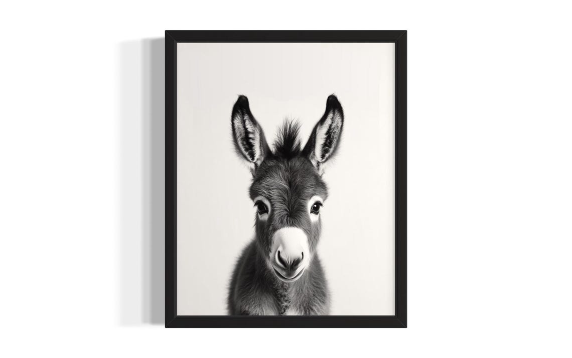 Donkey Animal Black And White Art Print