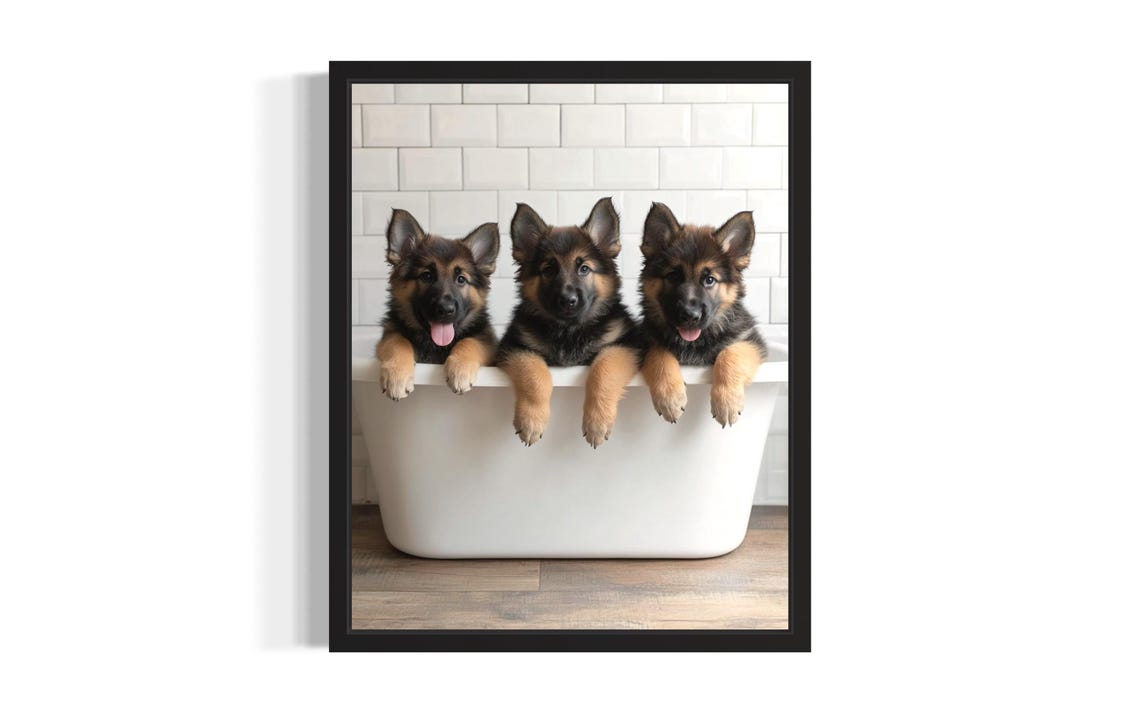 Three German Shepherd Puppies Playing in a White Bathtub Poster