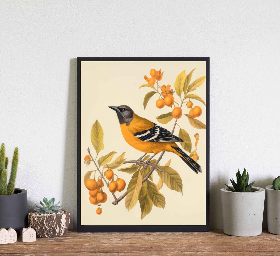 Baltimore Oriole On Fruit Branch Vintage Botanical Bird Print - Image 4
