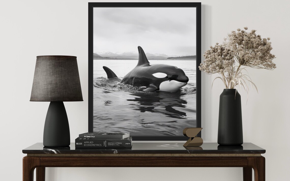 Orca Surfacing In Calm Water Black And White Photo Art Poster - Image 3