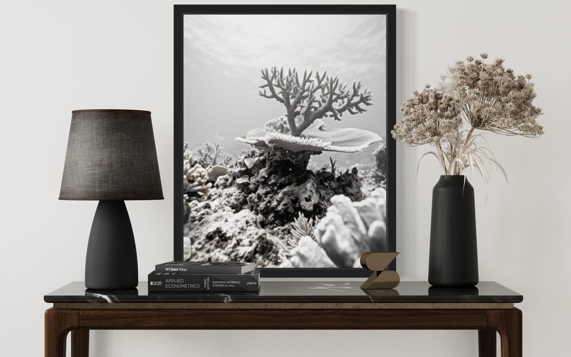 Coral Reef Underwater Scene In Black And White Photo Style Poster - Image 2