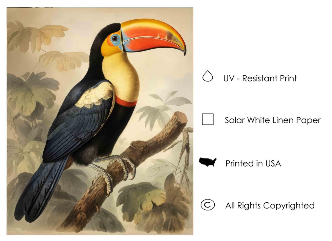 Toco Toucan Perched on a Branch with Tropical Leaves Vintage Poster - Image 3