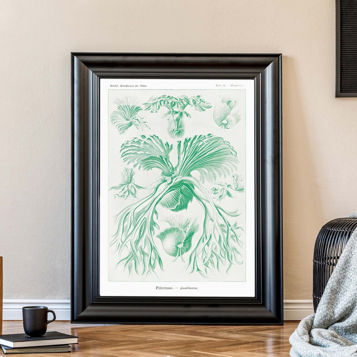 Ernst Haeckel Platycerium Staghorn Fern Plate 52 Nature Poster - Image 2