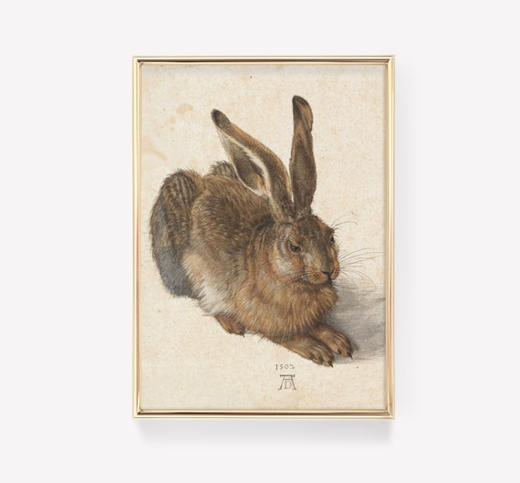 Young Hare By Albrecht Durer 1502 Vintage Art Print Antique Painting Rabbit Animal Wall Unique Small Artwork