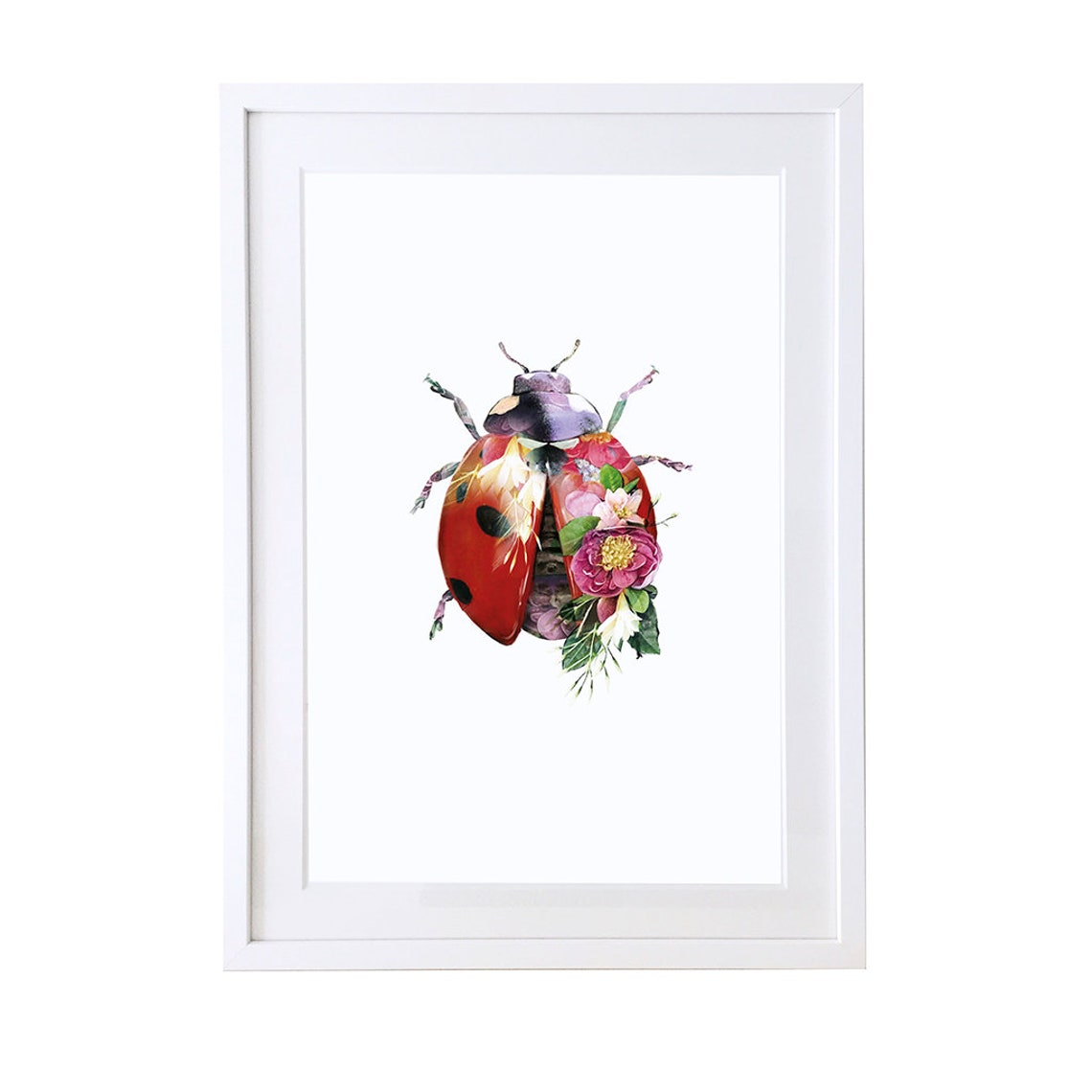 Ladybird, Nature Study Art Print