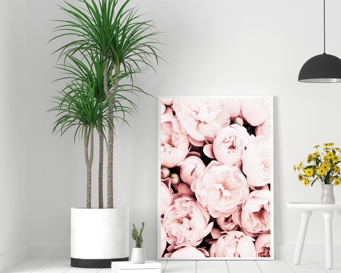 Blush Pink Peony Blooms Close Up Floral Photography Art Poster - Image 2