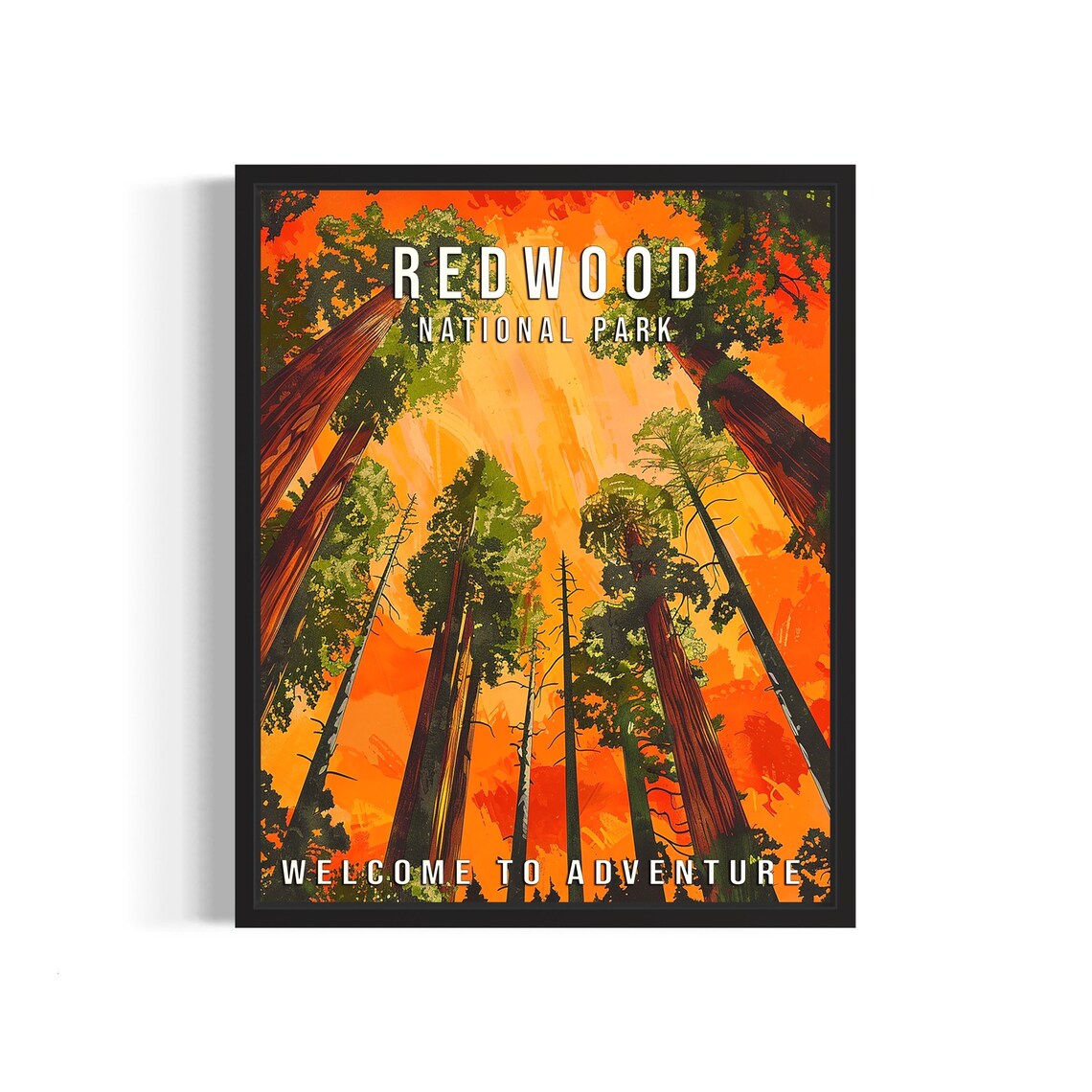 Redwood National Park California Towering Trees Sunset Travel Poster