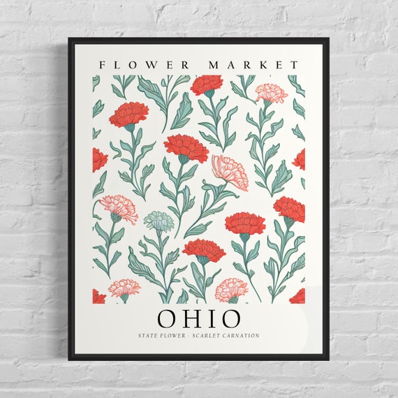 Ohio State Flower, Scarlet Carnation Botanical Art Print