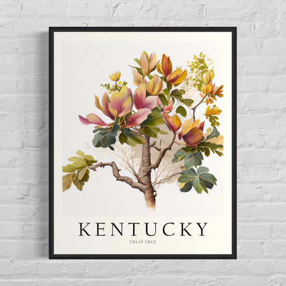 Kentucky State Tree Tulip Tree Art Print