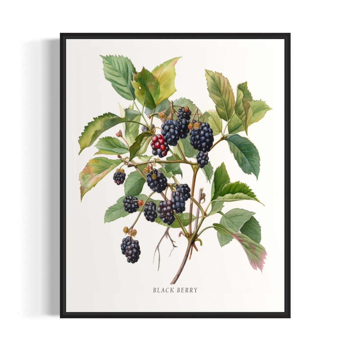 Black Berry Tree Art Print, Botanical Wall Art