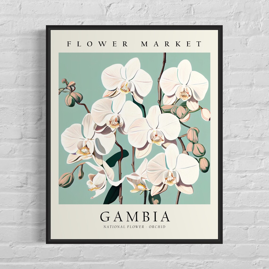 Gambia Flower Market White Orchid Botanical Illustration Poster