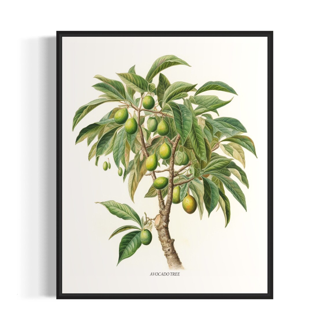 Avocado Tree Art Print, Kitchen Wall Art