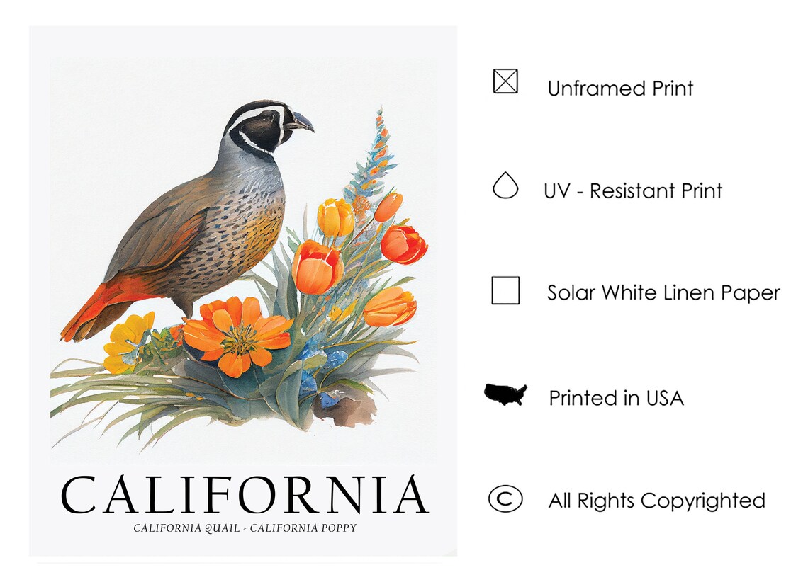California State Bird and Flower Art Print - Image 3