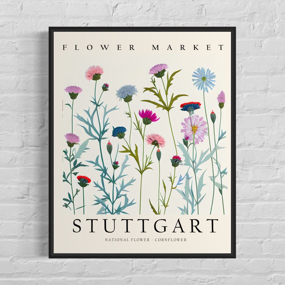 Stuttgart Flower Market Cornflower Botanical Illustration Poster