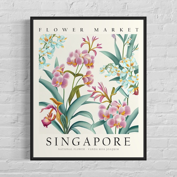 Singapore National Flower, Vanda Miss Joaquim Art Print