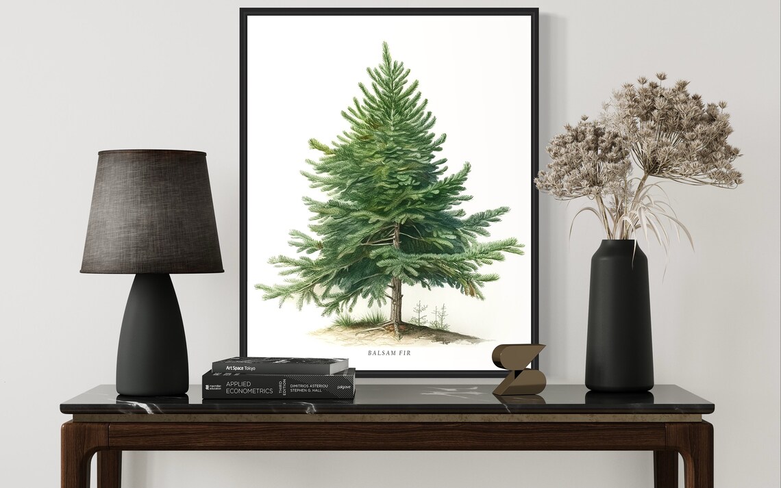 Balsam Fir Tree Art Print, Nature Wall Decor - Image 2