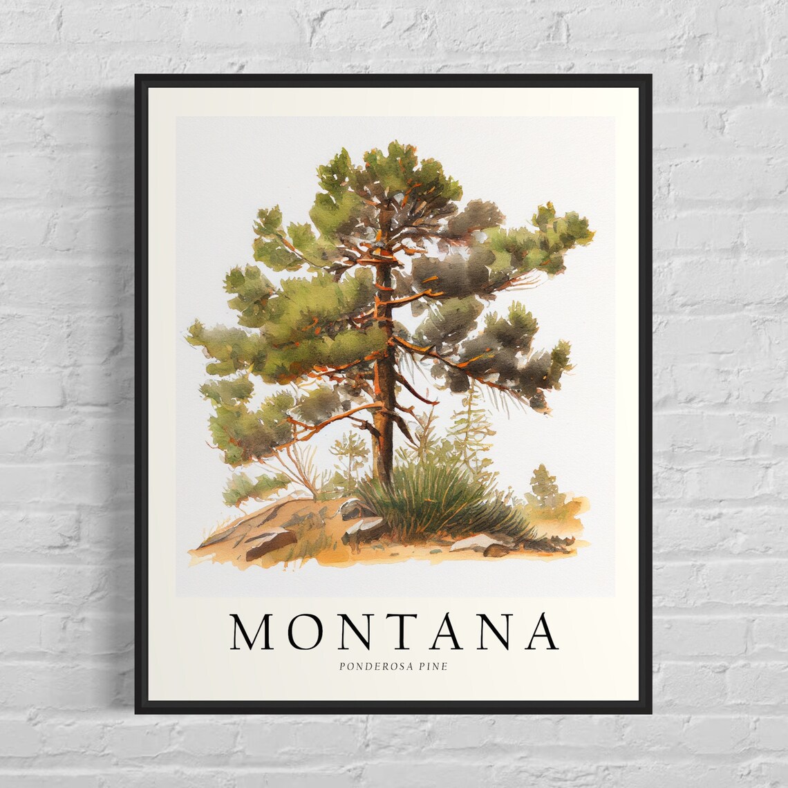 Montana Ponderosa Pine Watercolor State Tree Botanical Art Print