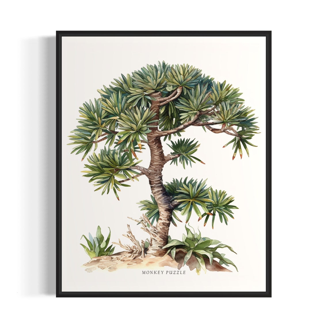 Monkey Puzzle Tree Art Print Monkey Puzzle Tree Wall Art Poster