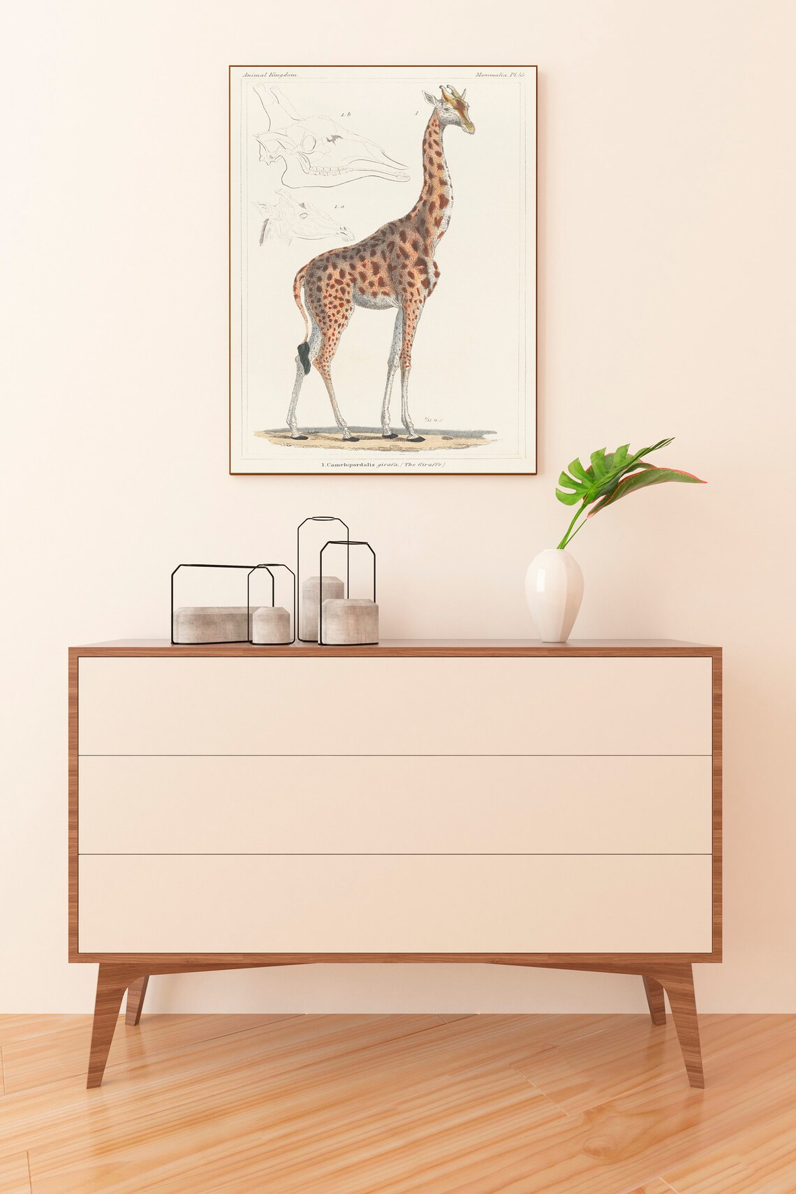 Antique Giraffe Natural History Zoological Animal Kingdom Art Poster - Image 2