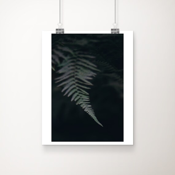 Dark Dramatic Moody Fern Frond Close-Up Botanical Photo Art Poster